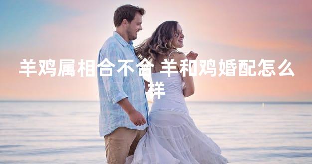 羊鸡属相合不合 羊和鸡婚配怎么样